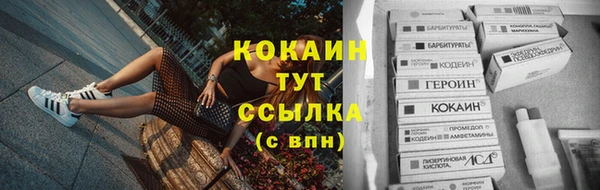 spice Вяземский